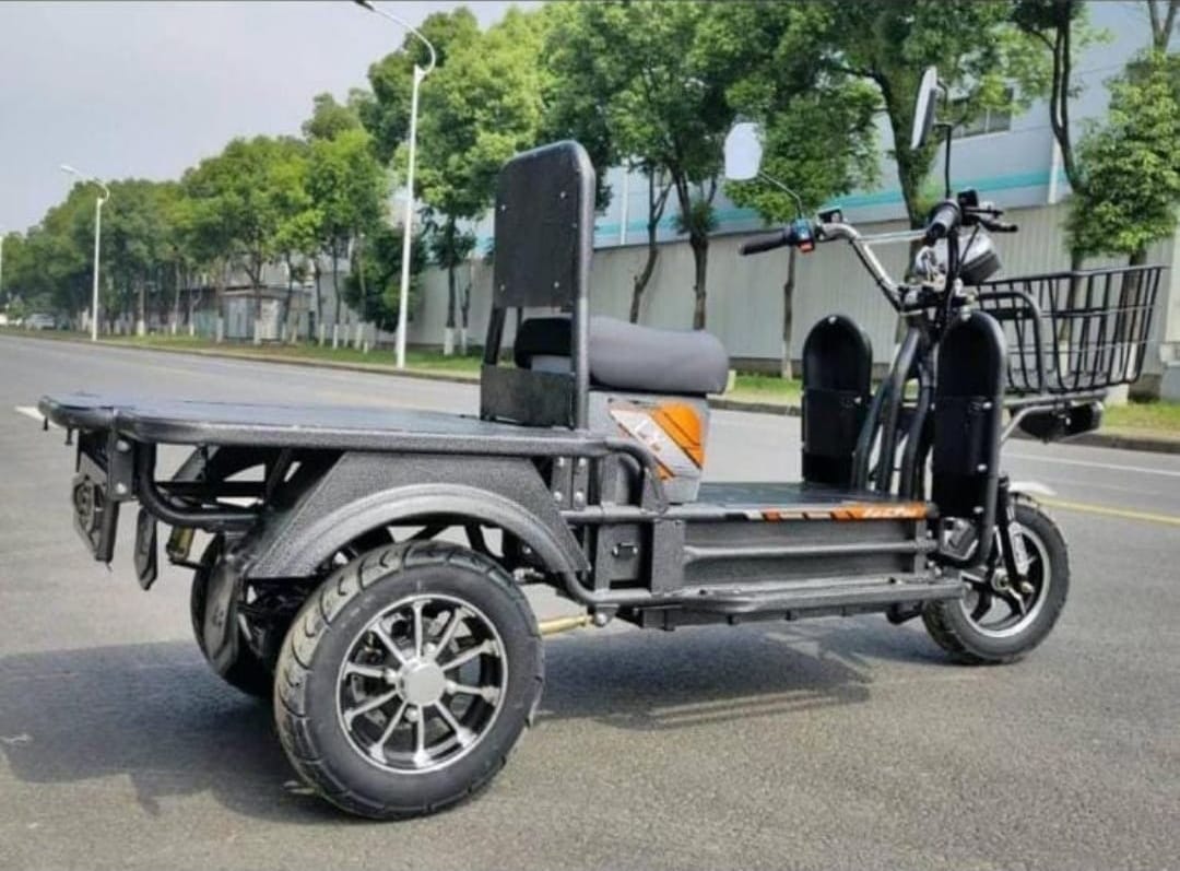 Loader 3-Wheeler E-Bike